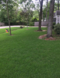Yard mowed correctly.